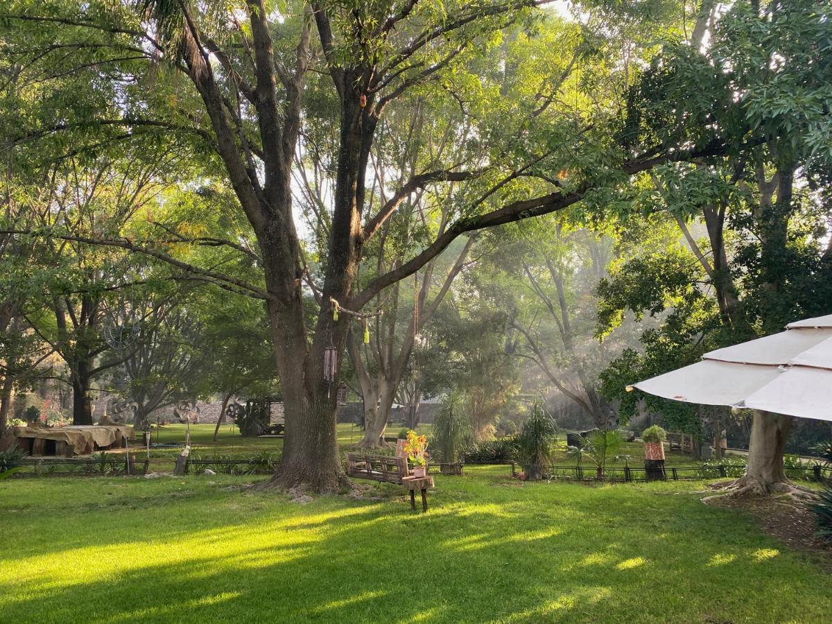 Magnolias Jardin & Boutique Hotel 5*